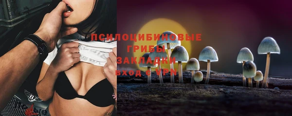 герыч Алексин