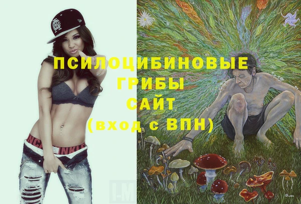 гашик Алзамай
