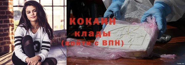 гашик Алзамай