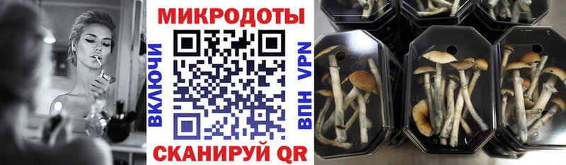 МЕГА маркетплейс Лосино-Петровский Псилоцибиновые грибы мицелий купить наркоту