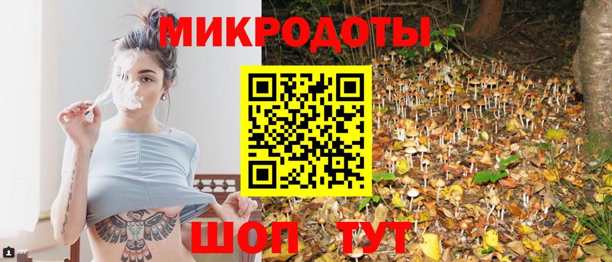 Псилоцибиновые грибы Psilocybine cubensis  как найти   Галлюциногенные грибы мицелий  Лосино-Петровский  Вход с VPN 